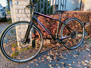 SPECIALIZED VITA SPORT