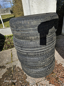 Suverehvid (1 foto / 4)