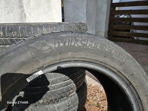 Suverehvid (3 foto / 4)