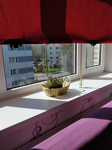 Vahe tn 6, Jõhvi, Jõhvi vald, Ida-Virumaa (3 foto / 15)