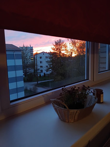 Vahe tn 6, Jõhvi, Jõhvi vald, Ida-Virumaa (16 фото из 16)