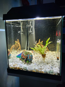 Продам аквариум juwel 60 (4 фото из 6)