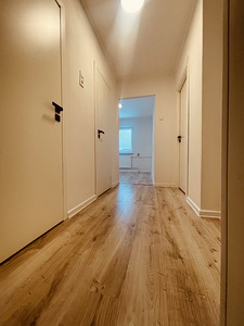 31,5 m² korter renoveeritud (3 foto / 6)