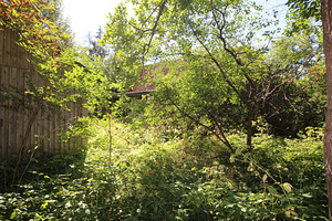 Polli tee 1, Halliste, Mulgi vald, Viljandimaa (5 foto / 10)