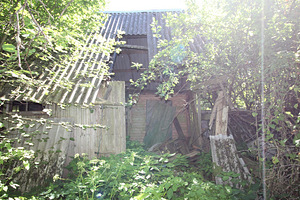 Polli tee 1, Halliste, Mulgi vald, Viljandimaa (8 foto / 10)