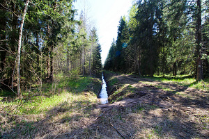 Vahtra, Vetla, Anija vald, Harjumaa (6 foto / 10)