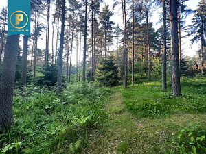 Lepiku tee 28b, Pirita, Tallinn, Harjumaa (4 foto / 10)