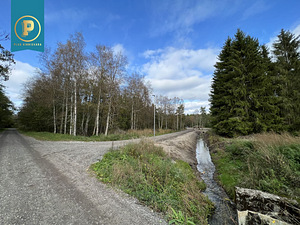Taavi tee 1, Naage, Harku vald, Harjumaa (4 foto / 8)