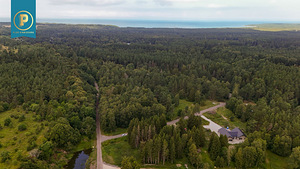 Taavi tee 1, Naage, Harku vald, Harjumaa (6 foto / 8)