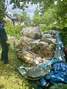 Prügi äravedu, utiliseerimine (6 foto / 10)