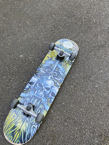 Tony Hawk rula (2 foto / 2)