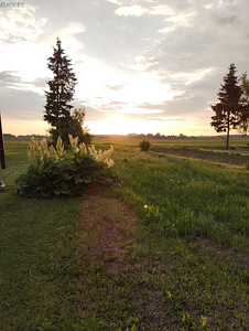 Nõo tn 7, Nõgiaru, Nõo vald, Tartumaa (13 foto / 15)