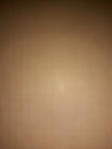 Neiu otsib tööd (2 foto / 2)