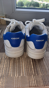 GEOX tossud, 31 (8 foto / 10)