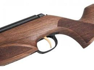 Õhupüss Diana magnum n-tec luxus (4 foto / 4)