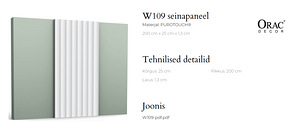 Seinapaneel ORAC W109 (3 foto / 3)