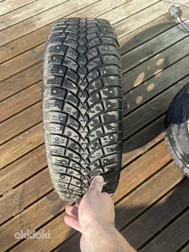 R13 veljed
