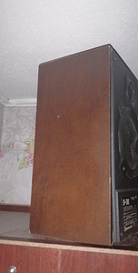 Продам russian time s30 колонки 2 штуки (2 фото из 5)