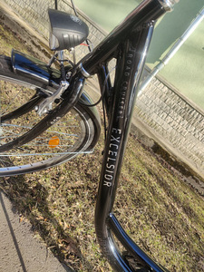 Excelsior Road Cruiser 28-дюймовый (2 фото из 10)
