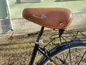 Excelsior Road Cruiser 28-дюймовый (3 фото из 10)