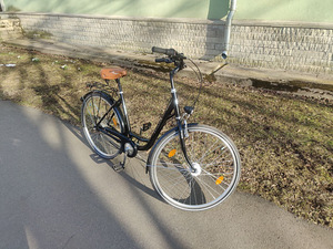 Excelsior Road Cruiser 28-дюймовый (9 фото из 10)