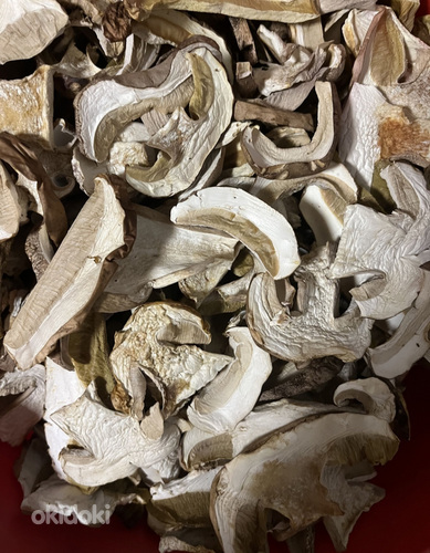 Kuivatatud seened (foto #2)