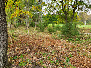 Lasketiiru tee 4, Muuga, Viimsi vald, Harjumaa (2 foto / 3)