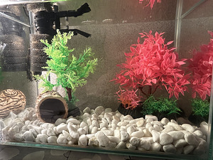 MÜÜA 20L AKVAARIUM (1 foto / 3)