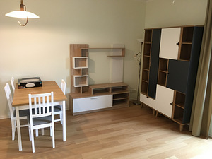 Mööbli kokkupanek, paigaldus, remont ja utiliseerimine (2 foto / 7)