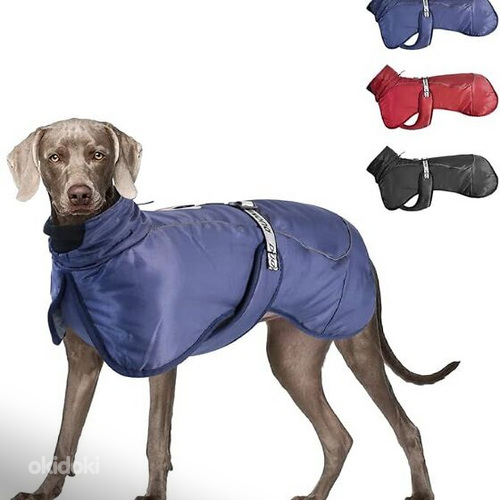 Новая куртка для более крупной собаки, 3XL. (фото #1)