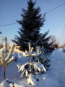 Aruserva tn 16, Sompa, Kohtla-Järve, Ida-Virumaa (7 foto / 11)
