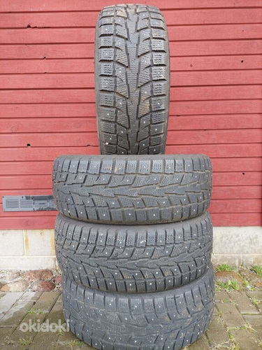 19" talverehvid