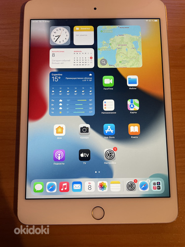 iPad mini 4