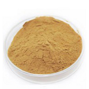 Экстракт гриба Ежовик Гребенчатый 50g (3 фото из 5)