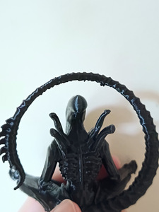 Tulnukas. Ksenomorf. Täiuslik kiskja. (6 foto / 8)