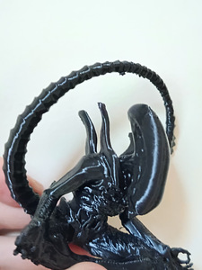 Tulnukas. Ksenomorf. Täiuslik kiskja. (3 foto / 8)