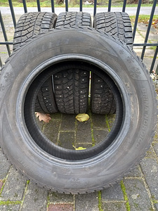Talverehvid (2 foto / 2)