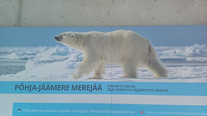Tallinna ZOO ekskursioon (5 foto / 10)