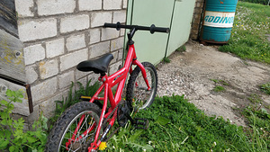 Laste jalgratas (4 foto / 4)