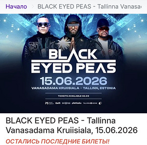 Билет BLACK EYED PEAS (1 фото из 1)