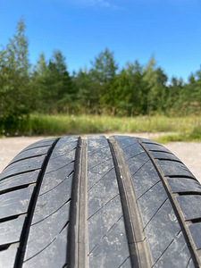 19-tollised rattad (3 foto / 4)