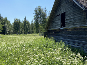 Müüa palkmaja (2 foto / 8)