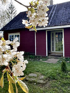 Pauastvere, Põltsamaa vald, Jõgevamaa (15 foto / 22)