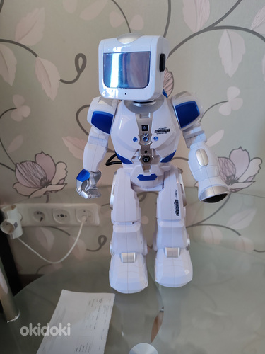 Robot Robert