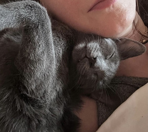 Vene sinine teismeline kassike, väga hell ja kontaktne. (7 foto / 9)