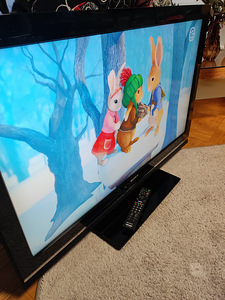 Телевизор SONY 40" (5 фото из 6)