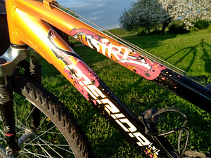 Jalgratas Merida Dirt, 20'' (5 foto / 6)