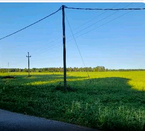 Müüa oma maatükk (3 foto / 3)