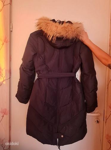 Зимняя куртка и пальто (фото #5)