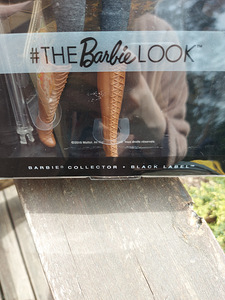 Kogutav nukk the barbie look (5 foto / 5)